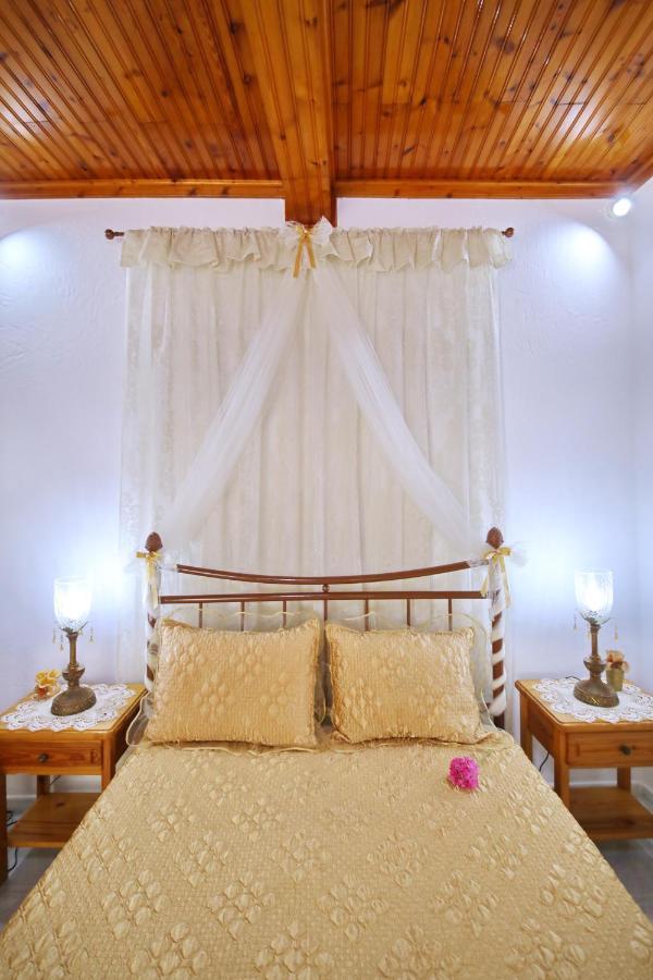 Vasia's Small Apartment Skopelos Town